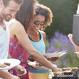 A pecuária tem papel fundamental na segurança alimentar